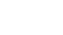 Fiesta Koltuk